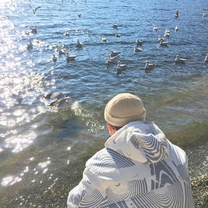 数据项目小龟导航
